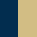  Navy-/-Vegas-Gold